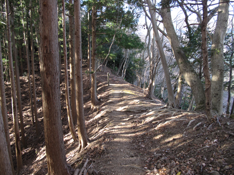 20190108hike (68)